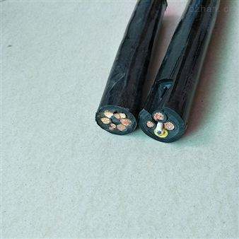 計算機(jī)電纜DJYPVP